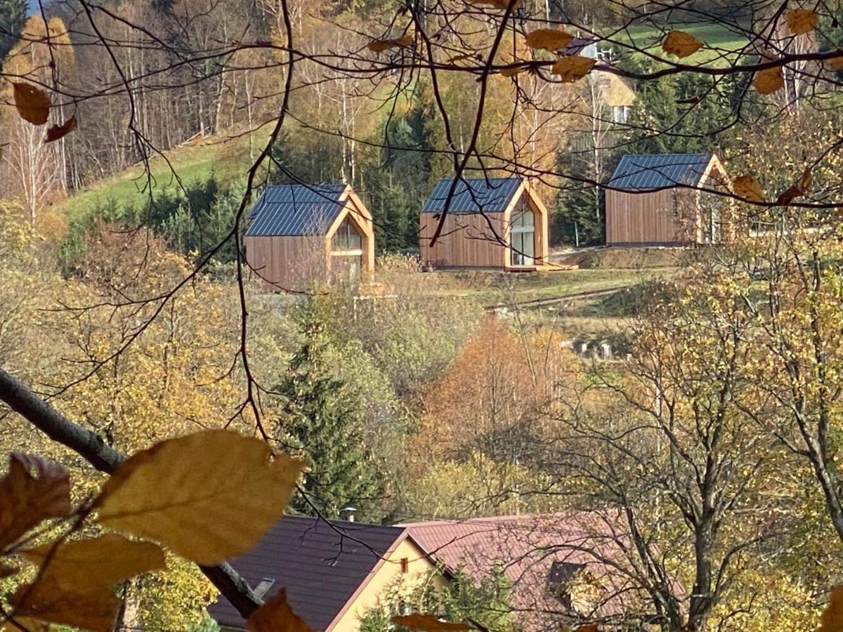 Domki Pod Lasem - Domek Sosnowy Stronie Śląskie Zewnętrze zdjęcie